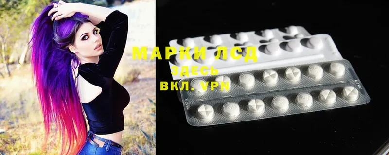 магазин продажи наркотиков  Заводоуковск  Лсд 25 экстази ecstasy 